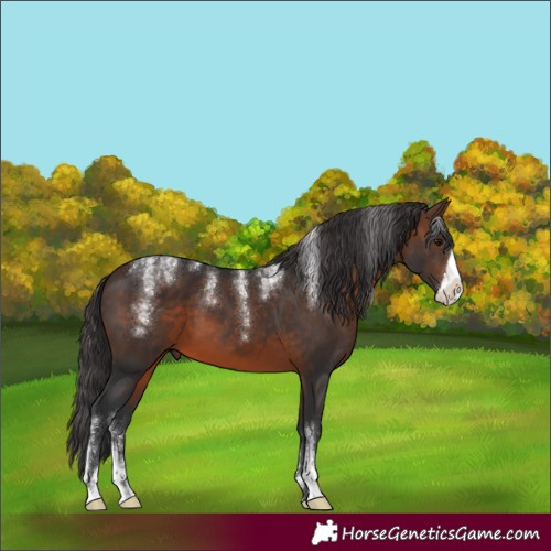 Horse Color:Powder White Brown Frame 