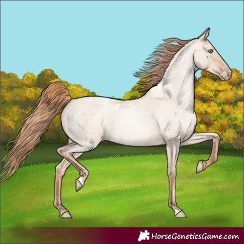Horse Color:Gold Champagne Roan Pearl Dun 