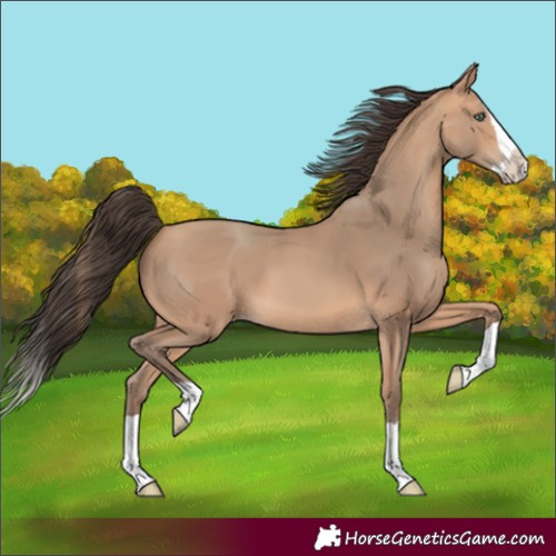 Horse Color:Amber Champagne Splash 