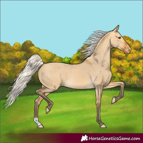 Horse Color:Silver Buckskin Dun Varnish