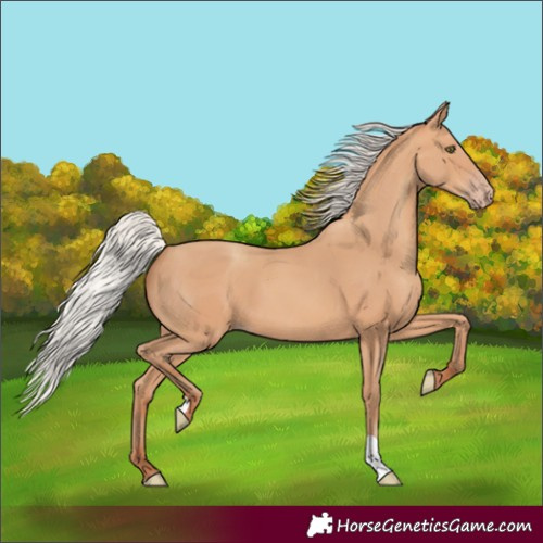Horse Color:Silver Amber Champagne 