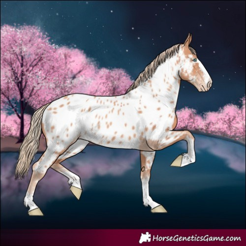 Horse Color:Gold Champagne Near Leopard 