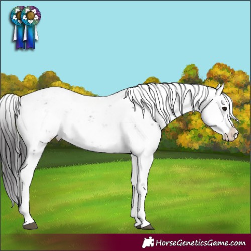 Horse Color:Smoky Black Sabino