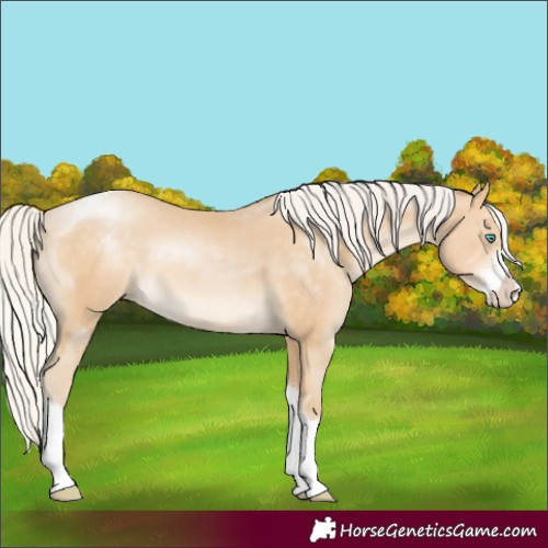Horse Color:Silver Buckskin Pearl Sabino Tobiano 