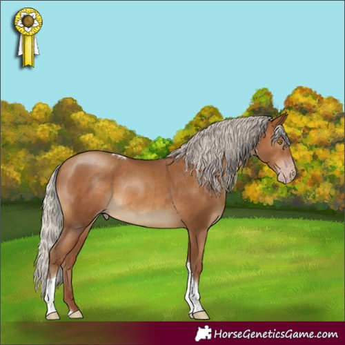 Horse Color:Gray Silver Amber Champagne Tobiano 
