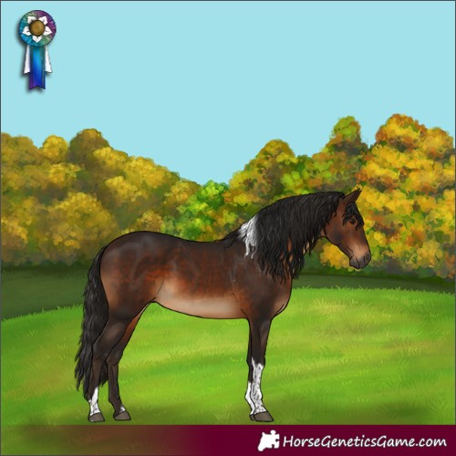 Horse Color:Gray Bay Tobiano Rabicano 