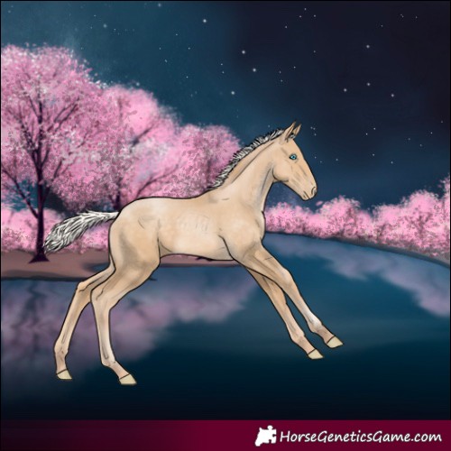 Horse Color:Silver Smoky Black Pearl