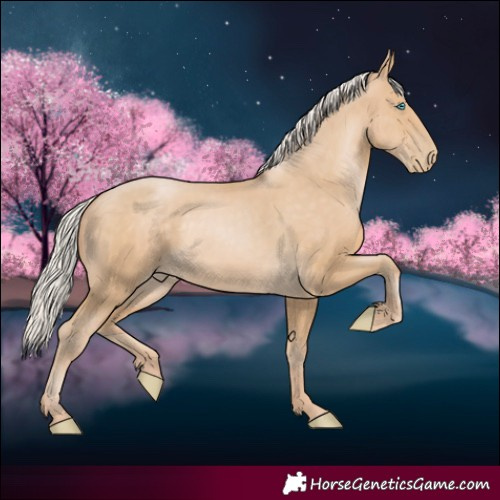 Horse Color:Silver Smoky Black Pearl 