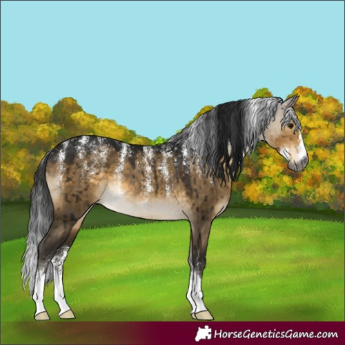 Horse Color:Powder White Gray Buckskin Dun Rabicano Brindle