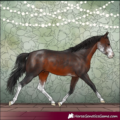 Horse Color:Brown Sabino