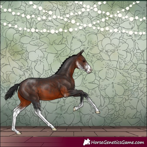 Horse Color:Brown Sabino 