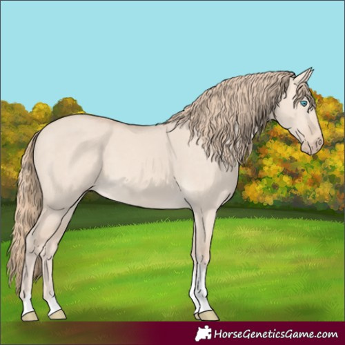 Horse Color:Perlino Dun Tobiano