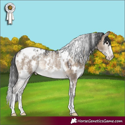 Horse Color:Powder White White Spotted Brown Dun Appaloosa Rabicano