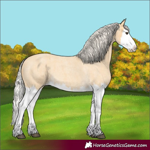 Horse Color:Palomino Roan Splash