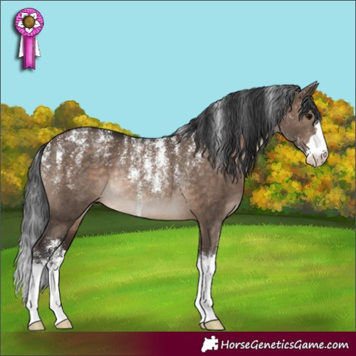 Horse Color:Powder White Brown Dun Rabicano