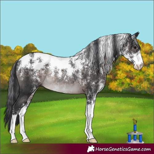Horse Color:Powder White Platinum Brown Rabicano 
