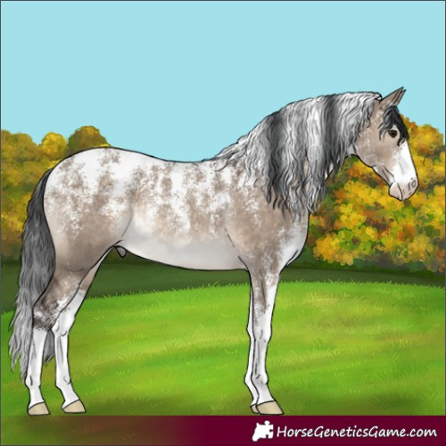 Horse Color:Powder White Brown Dun Rabicano 