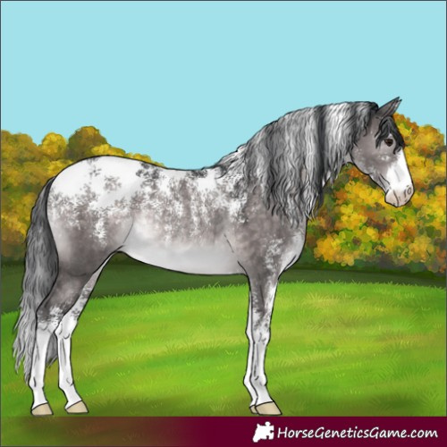Horse Color:Powder White Platinum Brown Dun Rabicano 