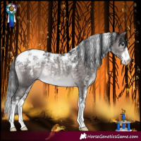 Horse Color:Powder White Platinum Brown Dun Rabicano