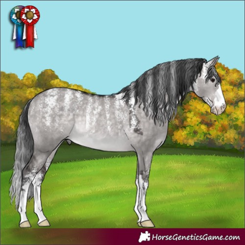 Horse Color:Powder White Platinum Brown Dun Rabicano