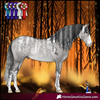 Horse Color:Powder White Platinum Brown Dun Rabicano