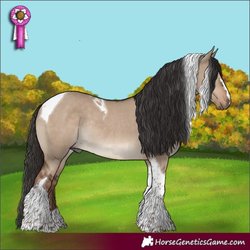 Horse Color:Liver Red Dun Tobiano Rabicano