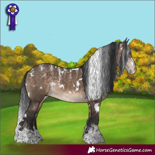Horse Color:Powder White White Spotted Brown Dun Rabicano 