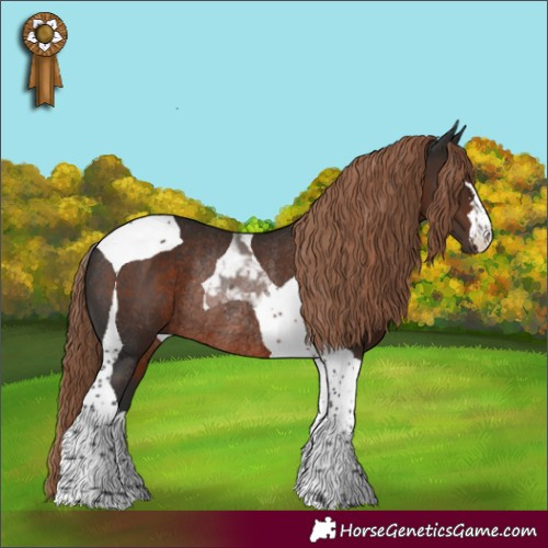 Horse Color:Liver Chestnut Tobiano Rabicano
