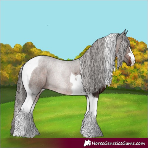 Horse Color:Liver Chestnut Tobiano Rabicano 