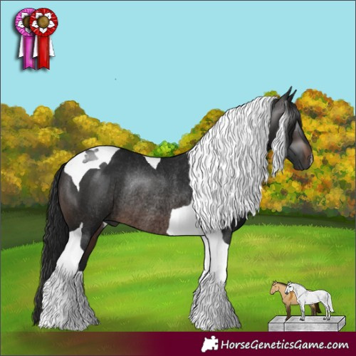 Horse Color:Gray Brown Tobiano Rabicano 
