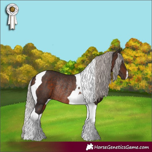 Horse Color:Silver Brown Tobiano Rabicano
