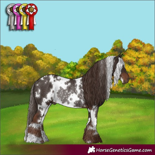 Horse Color:White Spotted Liver Chestnut Rabicano 