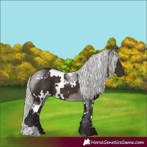Horse Color:White Spotted Silver Brown