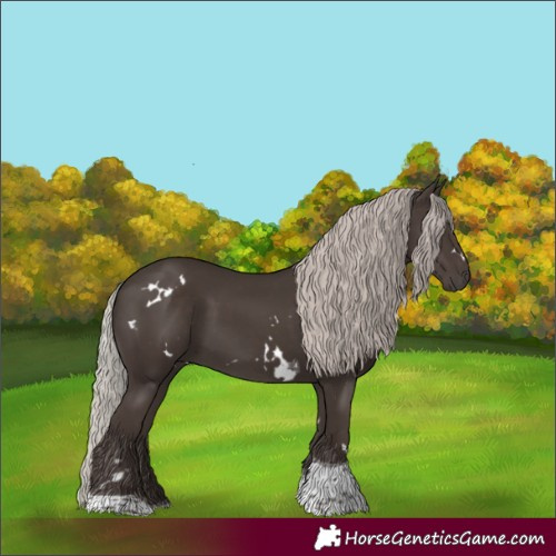Horse Color:White Spotted Silver Black Tobiano 