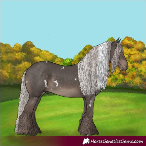 Horse Color:White Spotted Silver Black