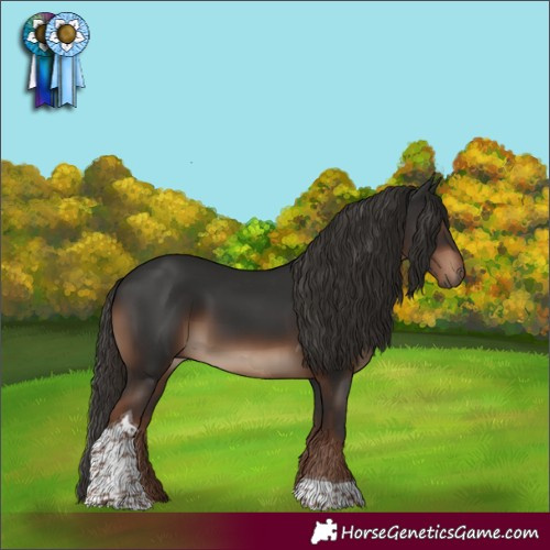 Horse Color:Liver Chestnut Tobiano