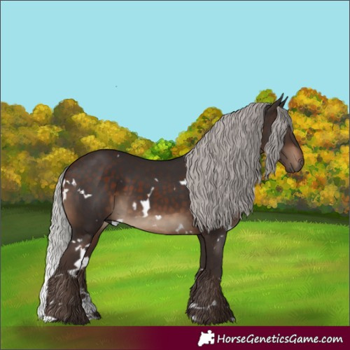 Horse Color:White Spotted Silver Brown 