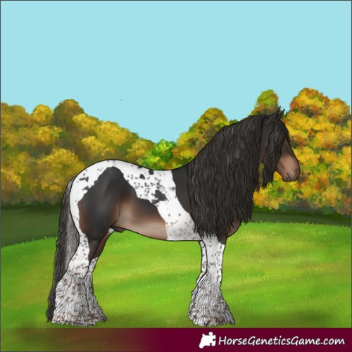 Horse Color:Liver Chestnut Tobiano
