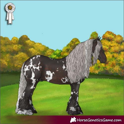 Horse Color:White Spotted Silver Brown