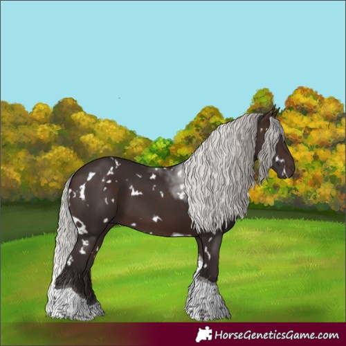 Horse Color:White Spotted Silver Brown Tobiano