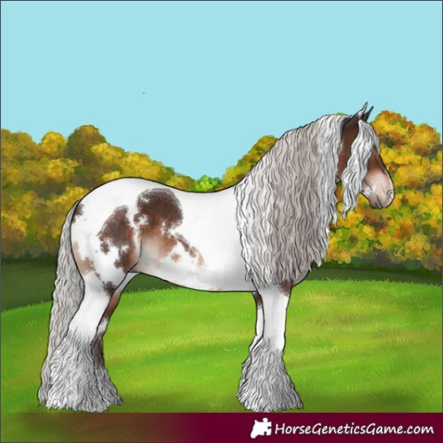 Horse Color:White Spotted Silver Brown Tobiano 