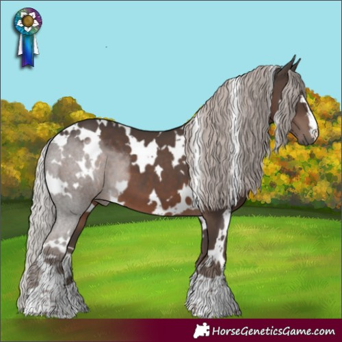 Horse Color:White Spotted Silver Black 