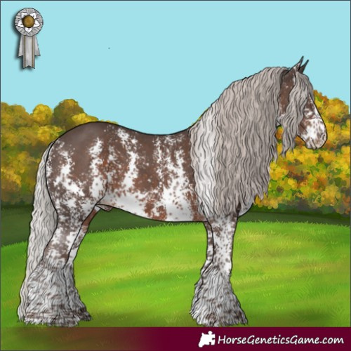 Horse Color:Silver Black Sabino