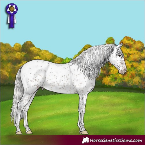 Horse Color:Silver Brown Sabino Rabicano