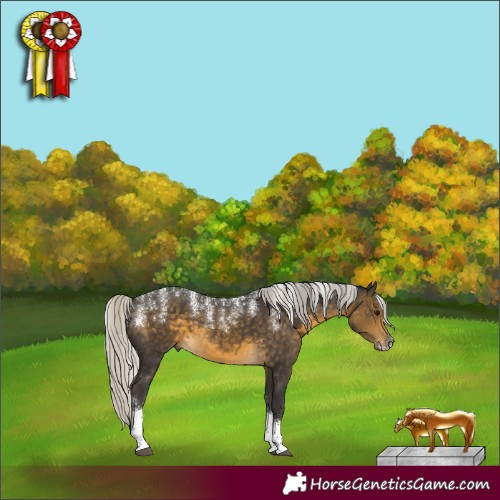 Horse Color:Powder White Silver Buckskin Tobiano