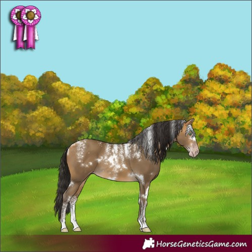 Horse Color:Powder White Gray White Spotted Amber Cream Champagne
