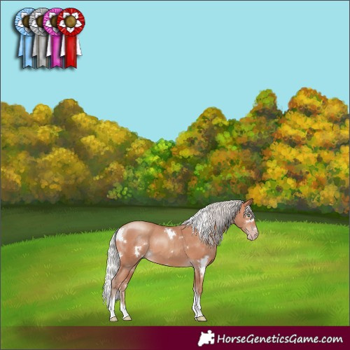 Horse Color:White Spotted Silver Amber Champagne Tobiano