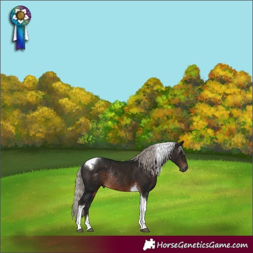 Horse Color:Gray Silver Brown Tobiano Rabicano
