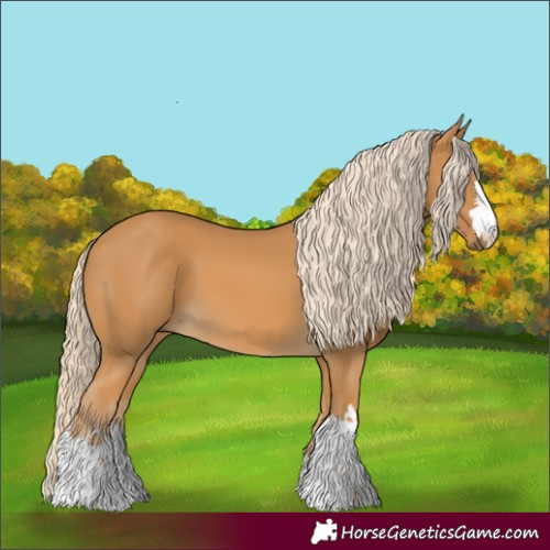 Horse Color:Palomino 
