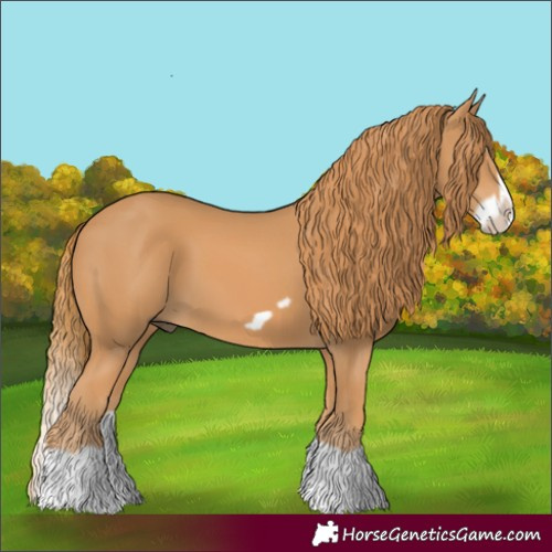 Horse Color:Chestnut Splash Frame 